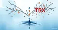 Grinex Hack: How 1 Billion Rubles Were Stolen in 5 Minutes