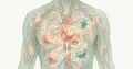 Nanoparticles against immune aging: a new strategy