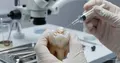 Zahnschmelz-Regenerationsmedikament: Wahrheit und FDA-Risiken