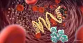Telitacicept bei IgA-Nephropathie: Phase-3-Ergebnisse im NEJM