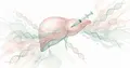 RNA interference-based drug for hyperlipoproteinemia(a) approved by FDA