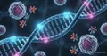 Nouvelles microprotéines dans l'ADN poubelle : plus de 1700 peptideins révèlent des cibles pour l'immunothérapie