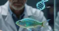 Gen vgll3: mecanismo del envejecimiento y el cáncer | Nature Communications