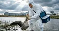 Zoonotické infekce se vracejí: varování Rospotrebnadzoru