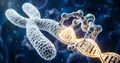 evoCAST: vkládání genů bez řezů DNA – průlom 2026