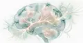 L'IA de Stanford prédit la maladie d'Alzheimer 10 ans avant les symptômes grâce à l'IRM