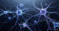 3D rozhraní 3D-MIND: propojení elektroniky s mozkovými buňkami