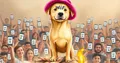 밈 코인 설명: Dogwifhat이 중요한 이유 | 간단 가이드