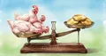 Export of chicken from Ukraine: record volumes and drop in revenue