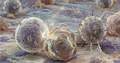 CD4+ T-Zellen töten Krebs durch Ferroptose: ein Durchbruch in der Immunologie