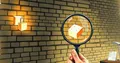 AI Security Tools Now Public, Changing Digital Safety