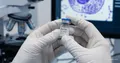 FDA Fast Track pro ADC ZW191 proti rezistentnímu karcinomu vaječníků