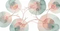 ADC drug Decnupaz: treatment of ultra-rare blood cancer BPDCN