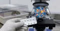 El antidepresivo mianserina prolonga la vida: estudio de Nature Communications