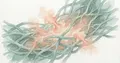 Vitamin D analog paricalcitol against pancreatic cancer: efficacy