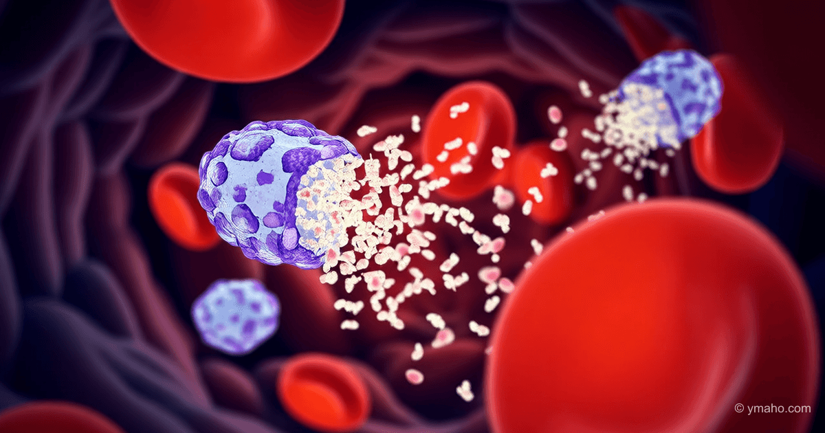 Dormant cancer cells: how to awaken and destroy