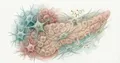 Paricalcitol dans le cancer métastatique : données 2026
